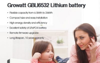 Growatt GBLI6532 Lithium Battery